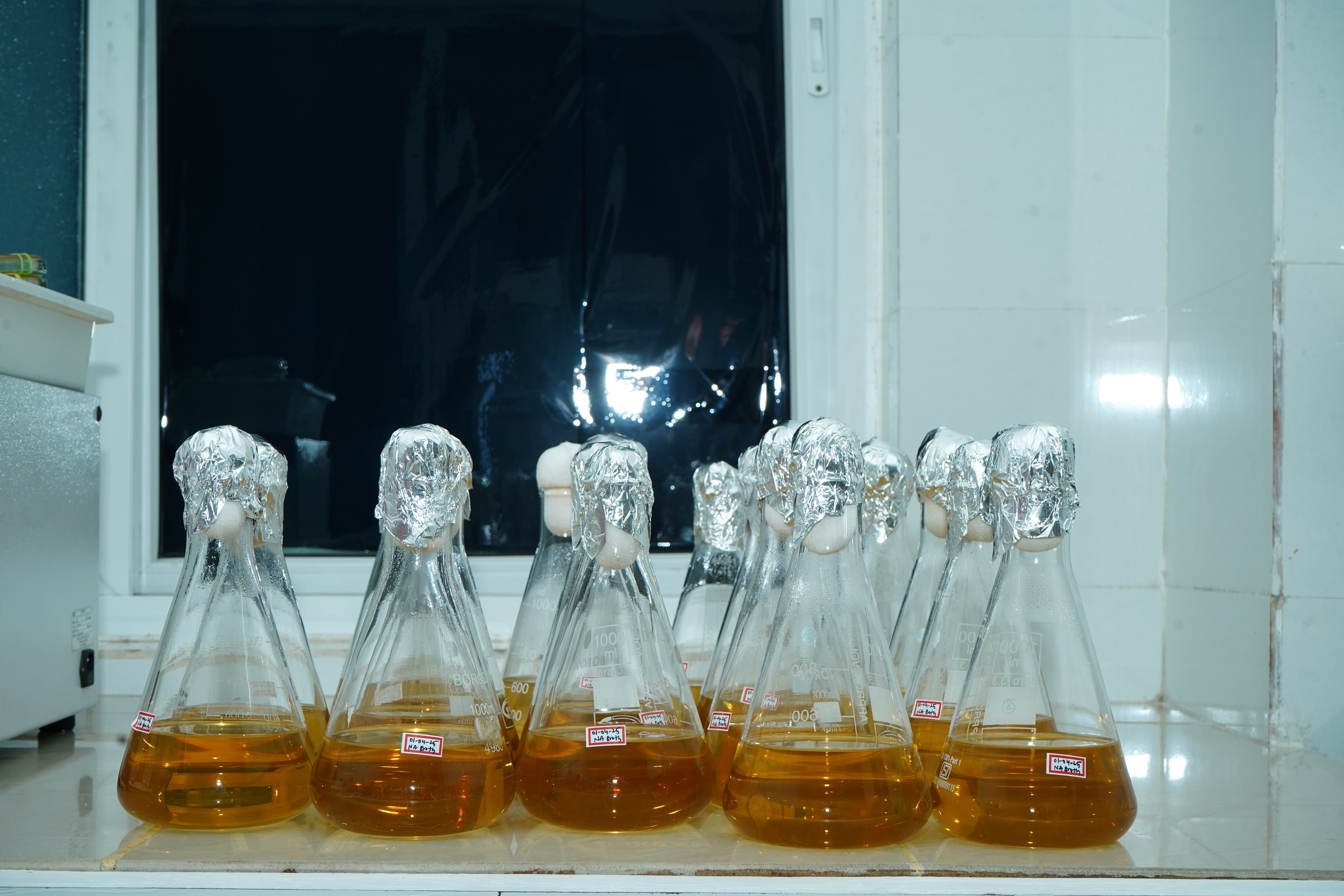 Lab Image 3