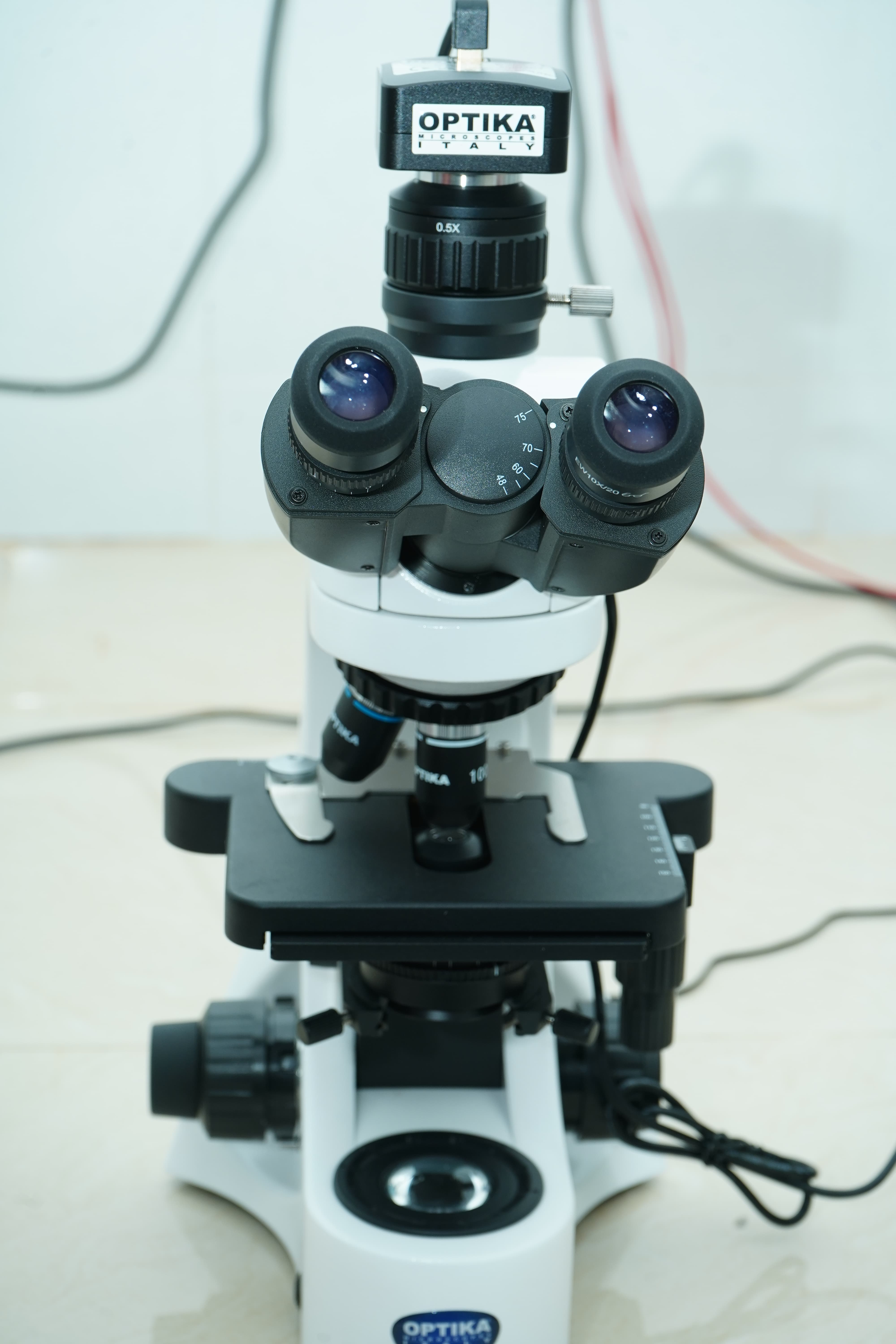 Lab Image 4