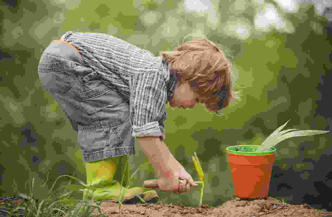 Teaching The Next Generation About Agriculture