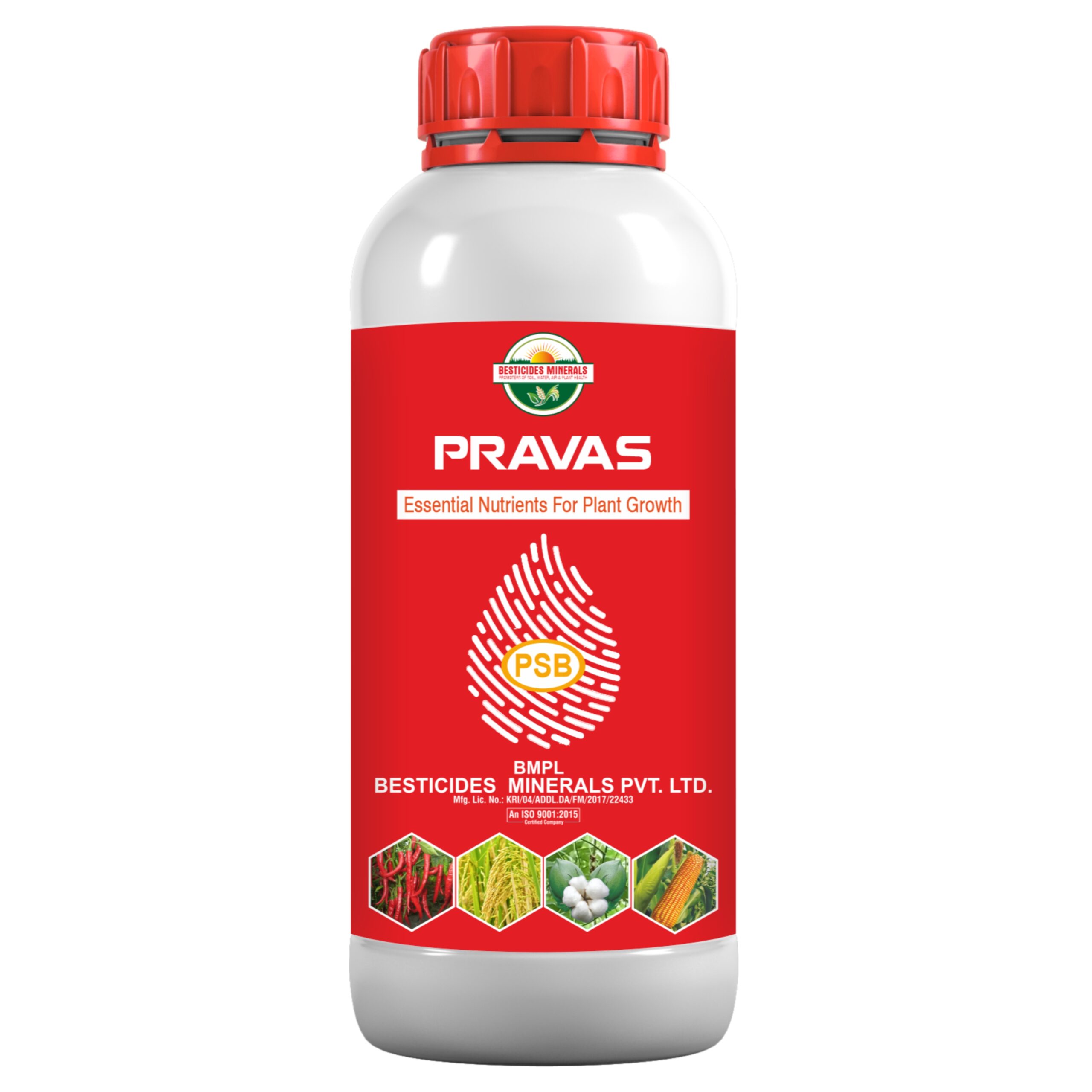 Untitled design (10)